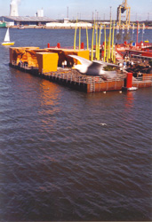 Die karge Insel