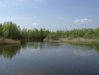 Kiesweiher