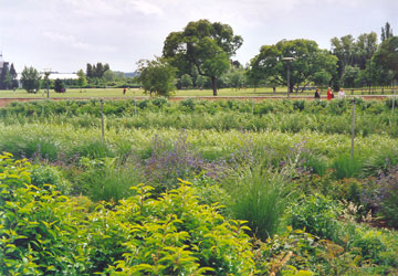 Parc de Gerland