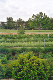 Parc de Gerland