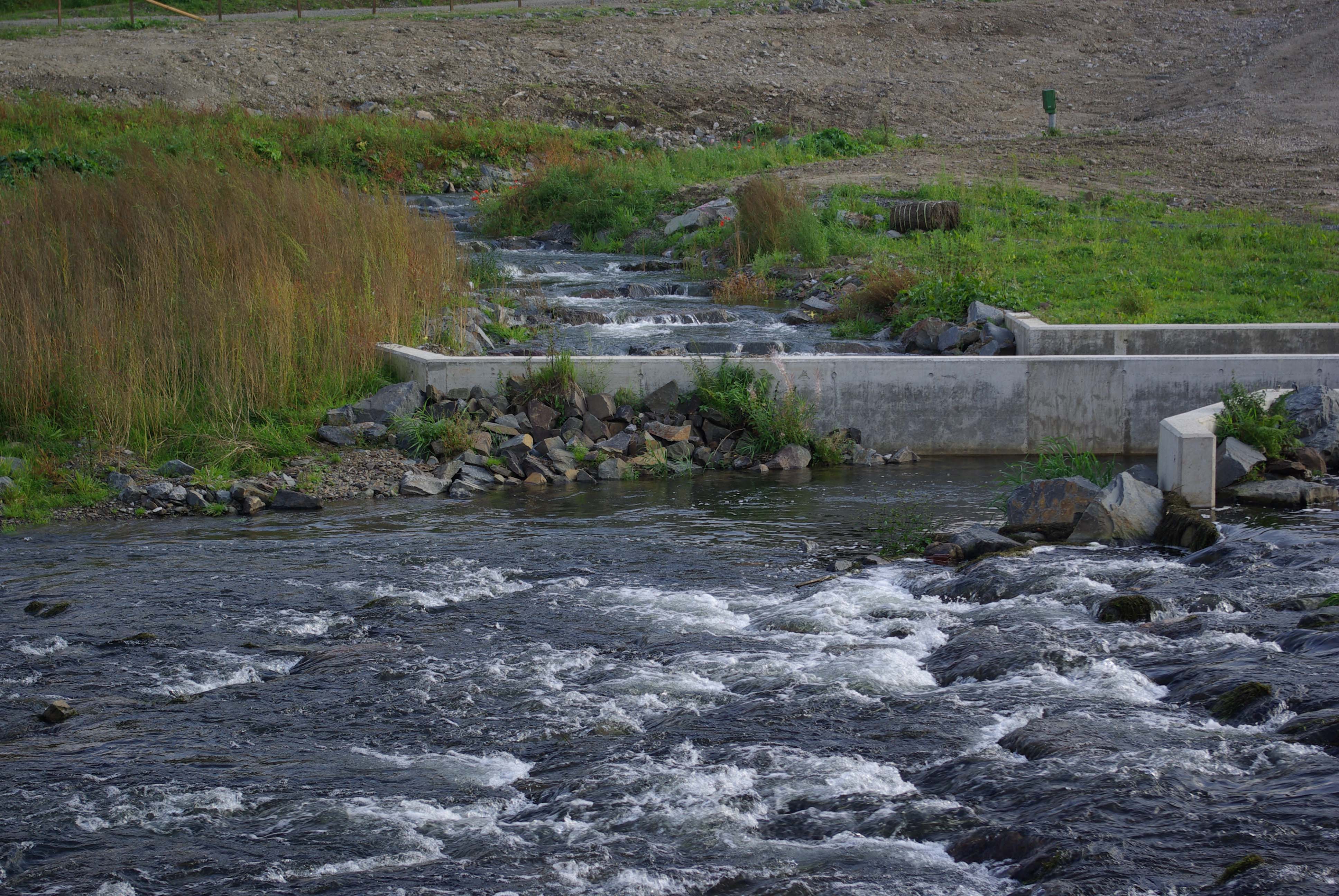 Fischtreppe in Beyenburg