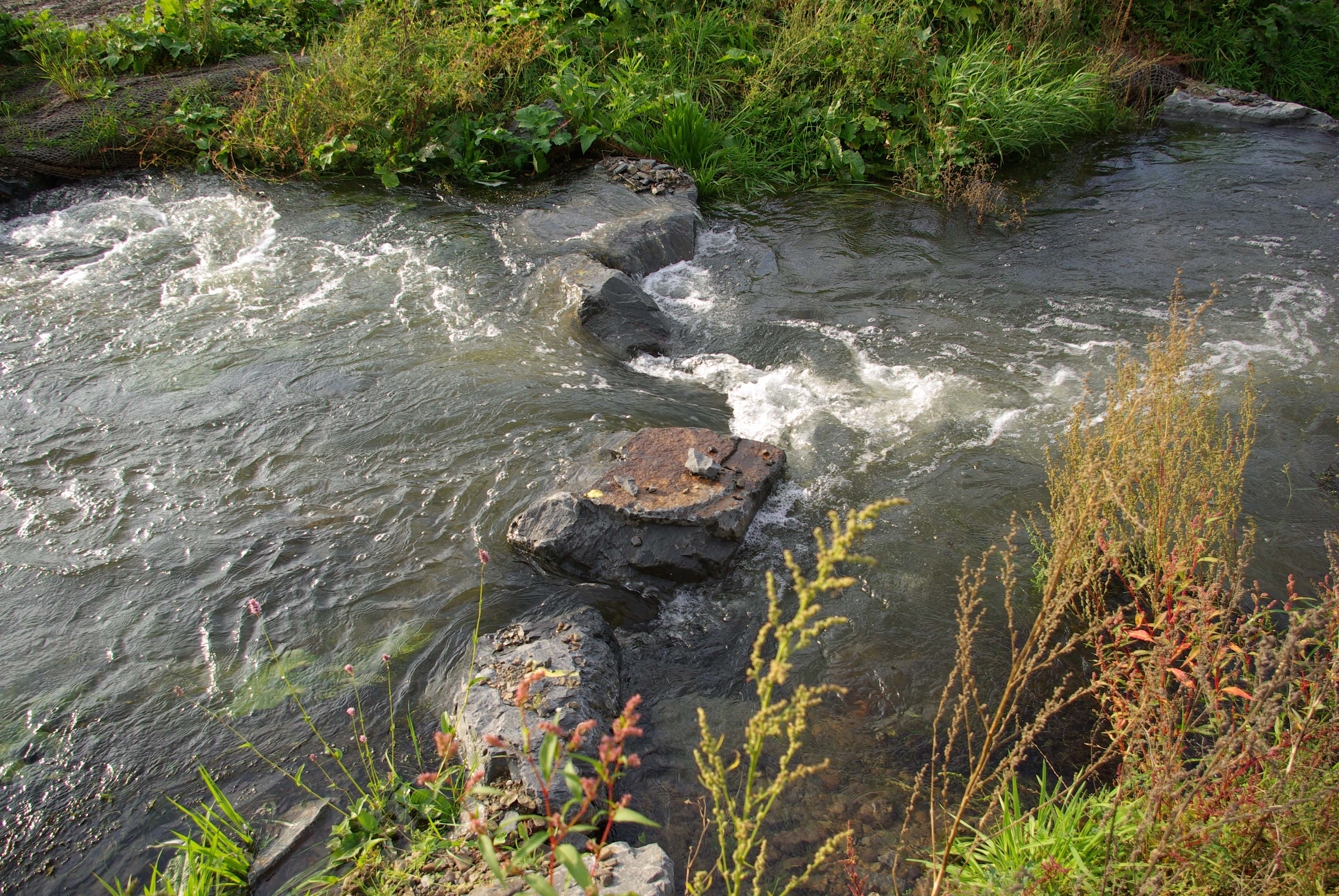 Fischtreppe in Beyenburg