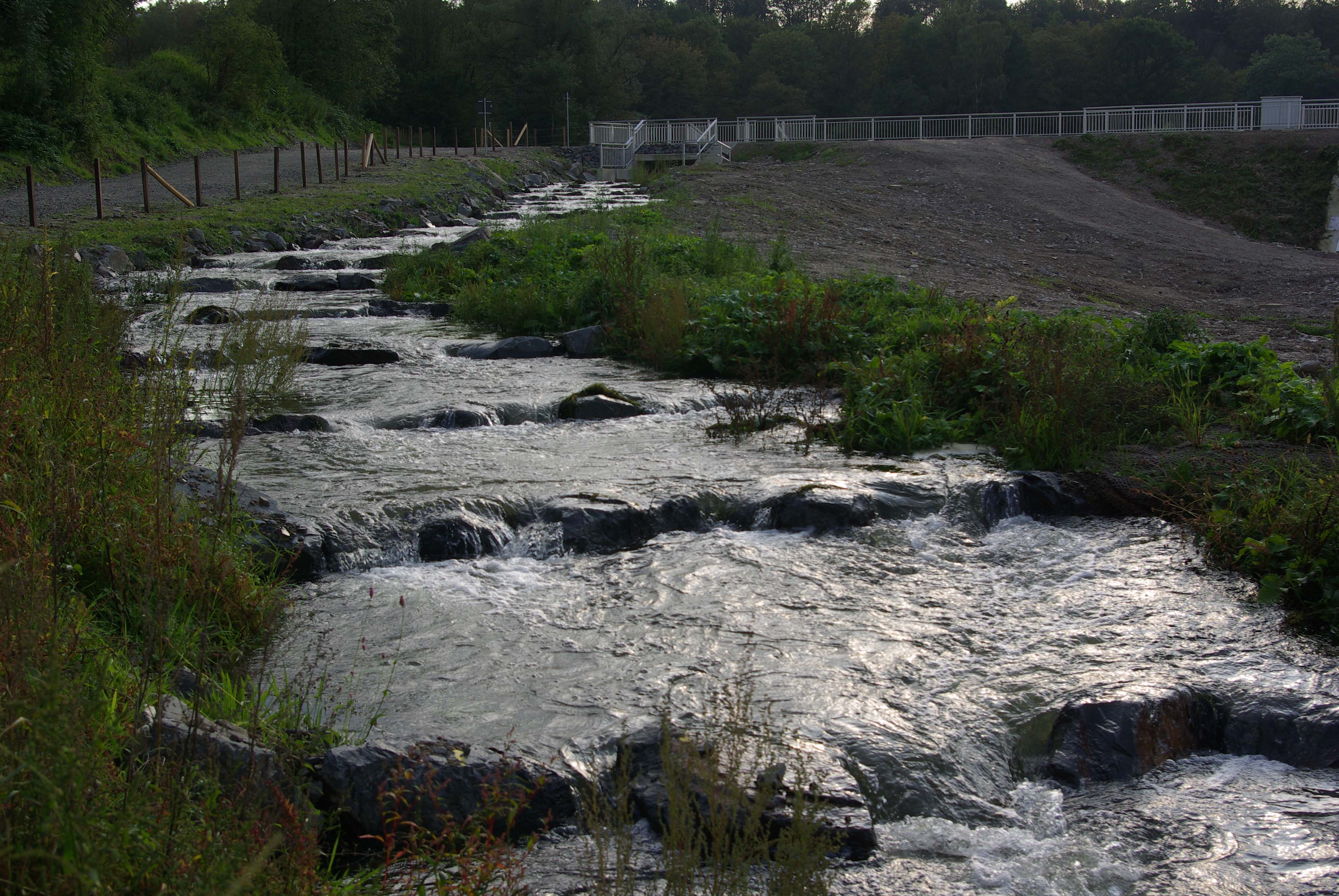 Fischtreppe in Beyenburg